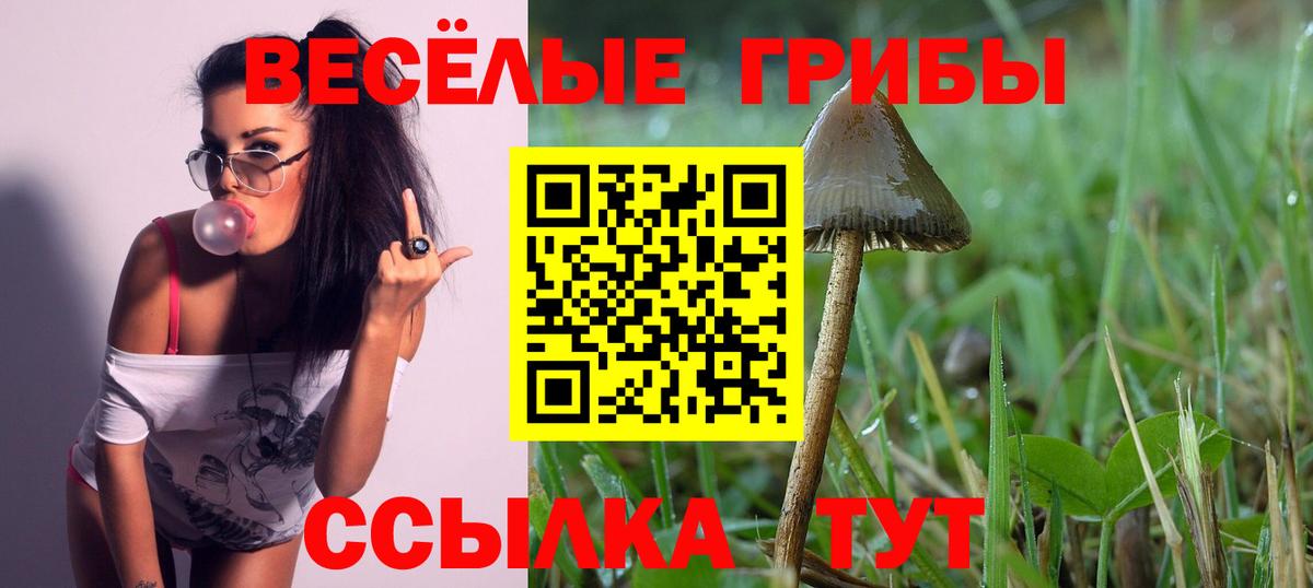 Сальск  Галлюциногенные грибы Magic Shrooms  Вход с VPN 